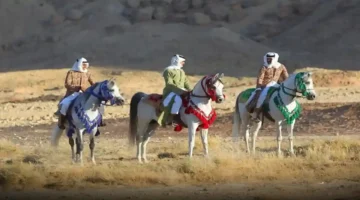 موعد انطلاق أغلى بطولات جمال الخيل في مركز الملك عبدالعزيز وتأثيره على الساحة العالمية